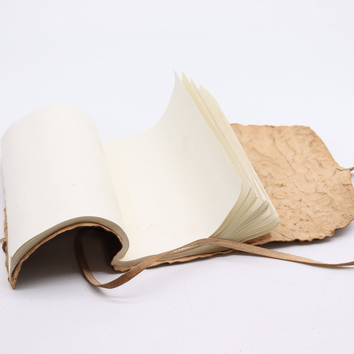 Handmade Rolled Leather Travel Notebook with Strap - Natural, open to curved blank cream pages beside a pale textured cover by Quintessential Holistic Health Ltd