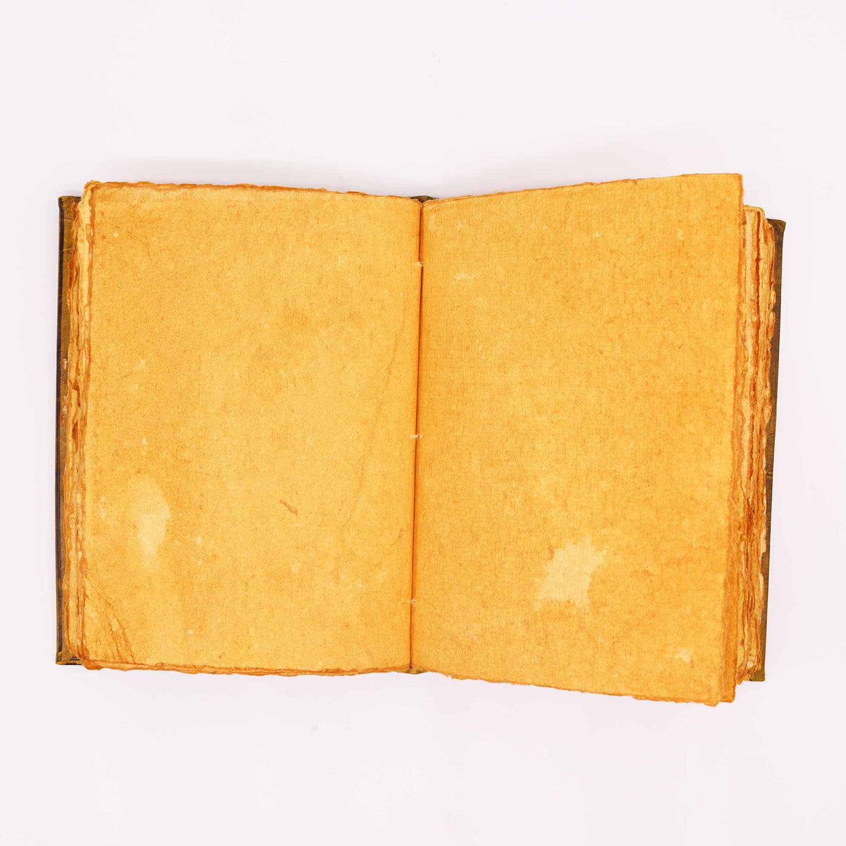 Extra-Large Tan Leather Deckle-Edged Journal - Zinc Owl, opened flat to two blank golden-toned pages by Quintessential Holistic Health Ltd