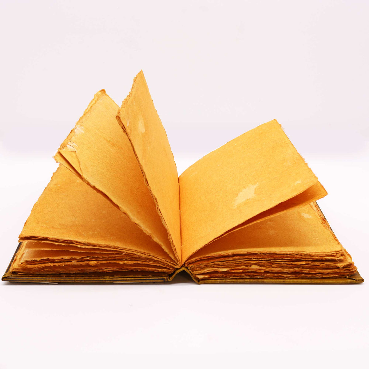 Extra-Large Tan Leather Deckle-Edged Journal - Zinc Owl, open with golden-toned pages fanned upright by Quintessential Holistic Health Ltd
