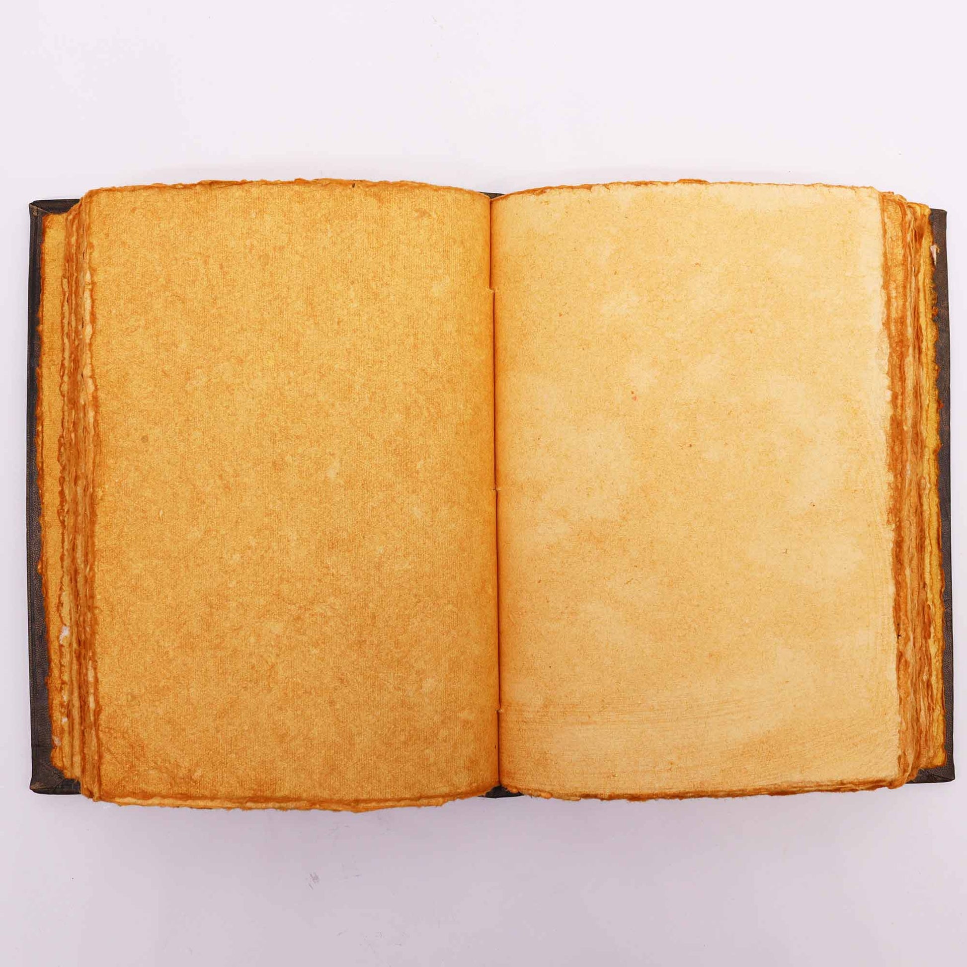 Extra-Large Brown Leather Deckle-Edged Journal - Zinc Triple Moon, opened flat to two blank golden-toned pages by Quintessential Holistic Health Ltd