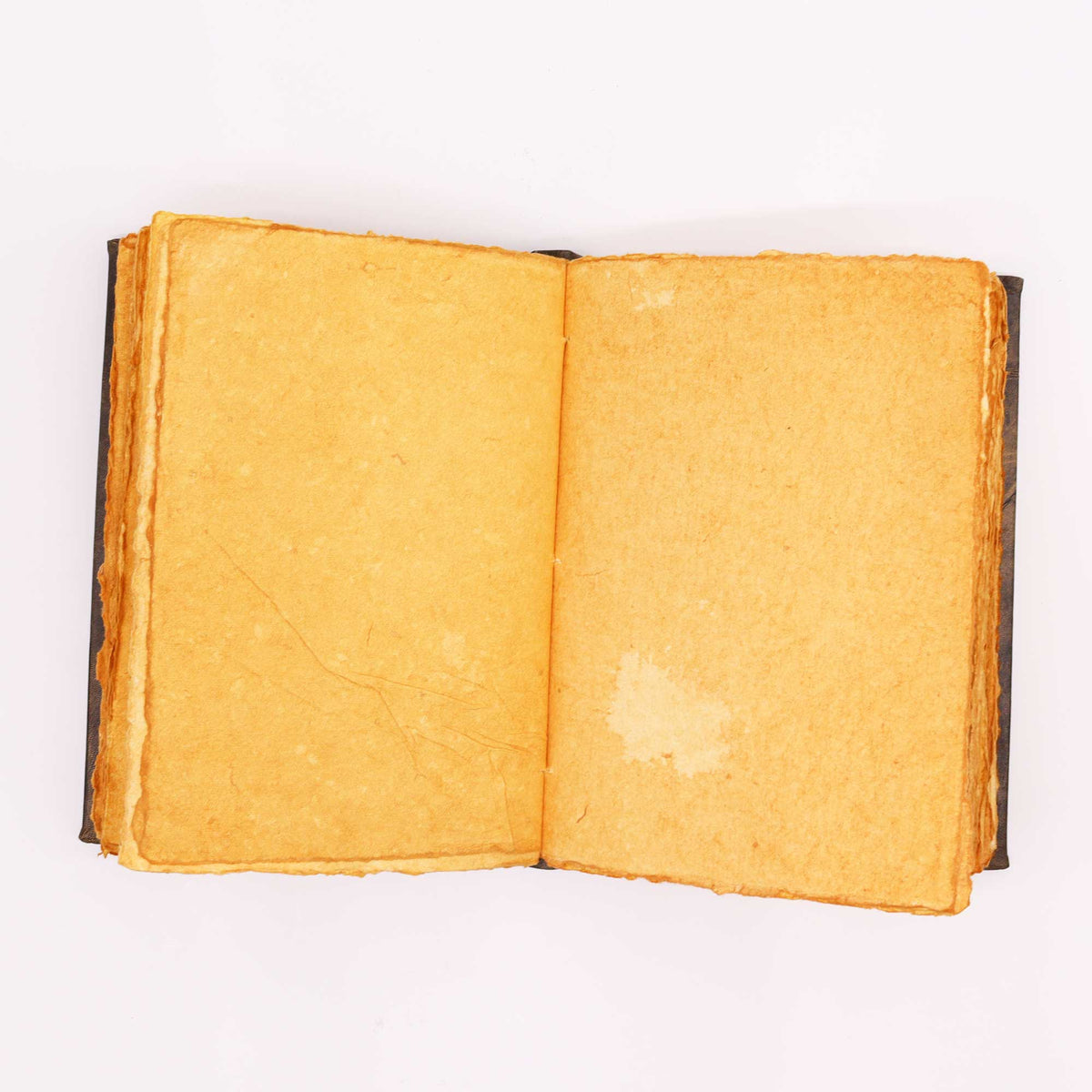 Extra-Large Brown Leather Deckle-Edged Notebook - Zinc Pentagon opened to two blank golden-toned pages with irregular edges by Quintessential Holistic Health Ltd