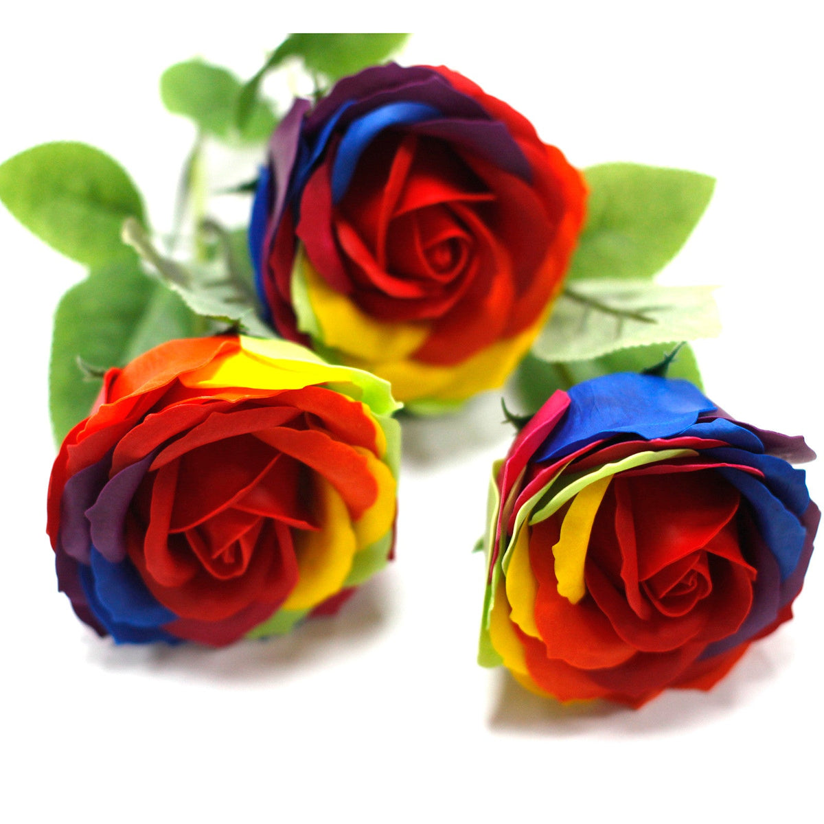 Luxury Soap Rose - Rainbow showing three blooms with vivid red centres and multicoloured outer petals by Quintessential Holistic Health Ltd