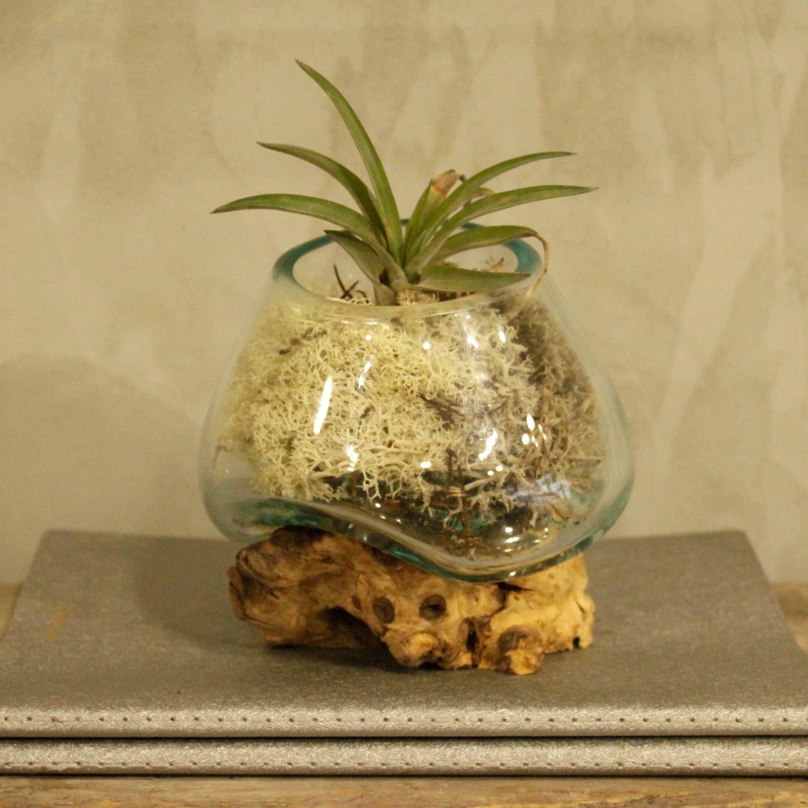 Handmade Molten Recycled Glass Vase on Wood - Small / Round / Clear / Light Blue product packaging on clean background from Quintessential Holistic Health Ltd