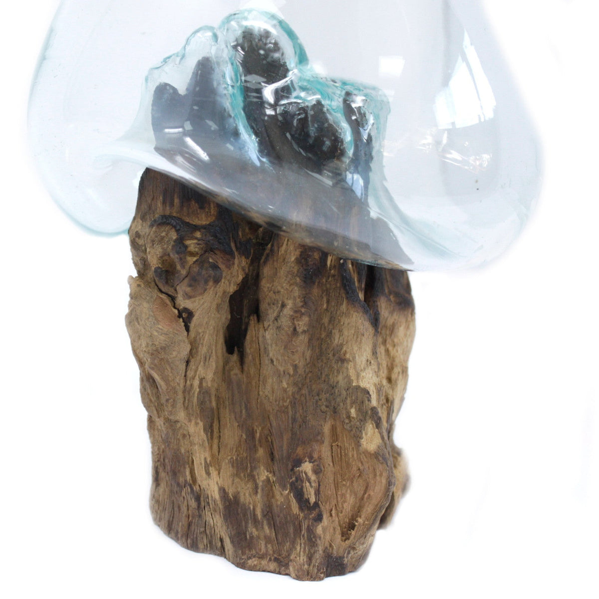 Recycled Glass Vase on Wood - Large Round - Clear & Blue with a bulbous vessel balanced on upright weathered wood by Quintessential Holistic Health Ltd