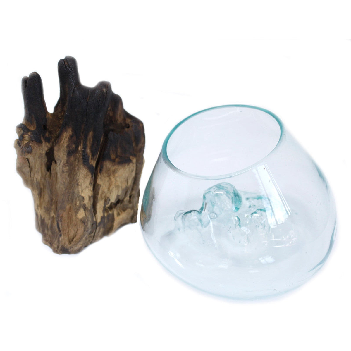 Recycled Glass Vase on Wood - Large Round - Clear & Blue shown separated from its dark forked wood base by Quintessential Holistic Health Ltd
