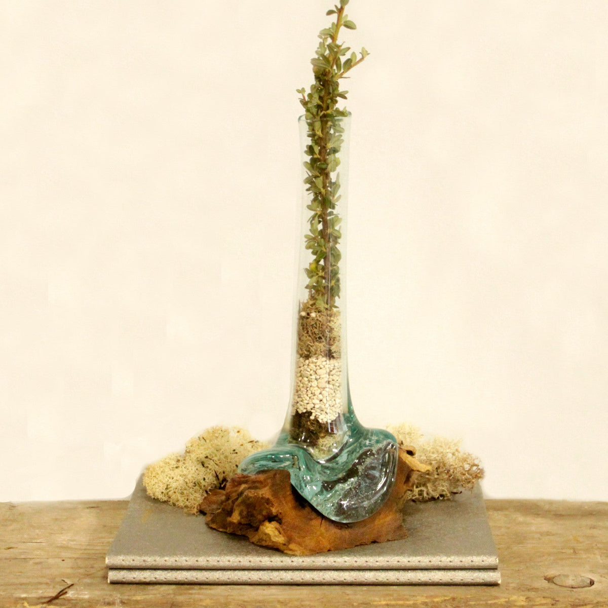 Recycled Glass Flower Vase on Wood - Large - Clear & Blue with an exceptionally tall narrow neck and a leafy stem by Quintessential Holistic Health Ltd