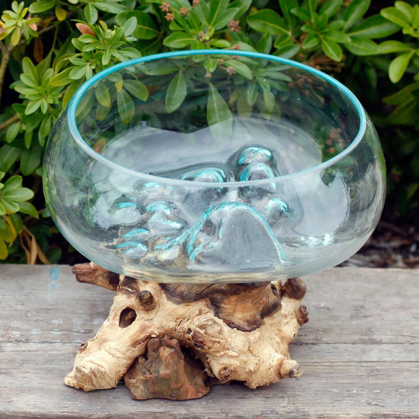 Recycled Glass Bowl & Vase on Wood - Large Round - Clear/Blue with a deep rounded bowl on pale gnarled wood by Quintessential Holistic Health Ltd