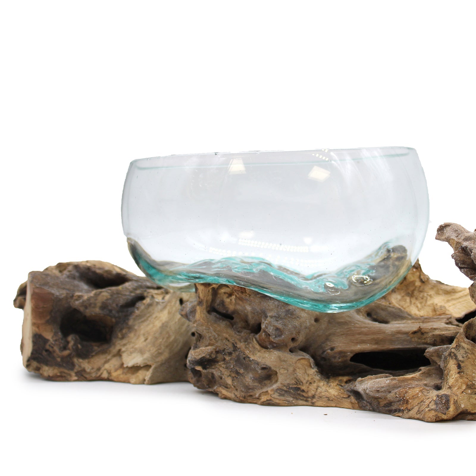 Recycled Glass Vase on Wood - Round - Clear and Light Blue, with one large bowl seated on a chunky gnarled wood base by Quintessential Holistic Health Ltd