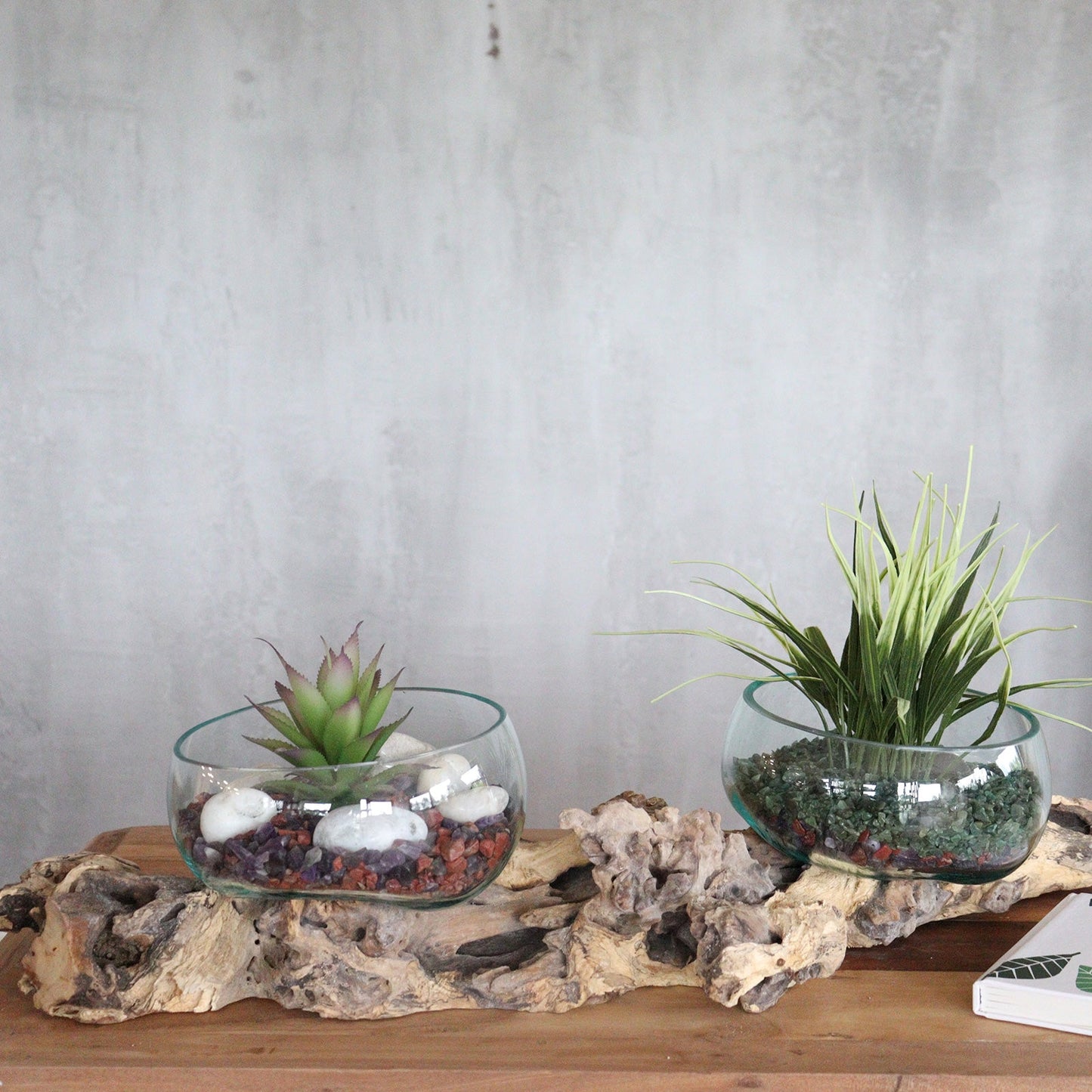 Recycled Glass Vase on Wood - Round - Clear and Light Blue, with two planted bowls on a long rugged wood base by Quintessential Holistic Health Ltd