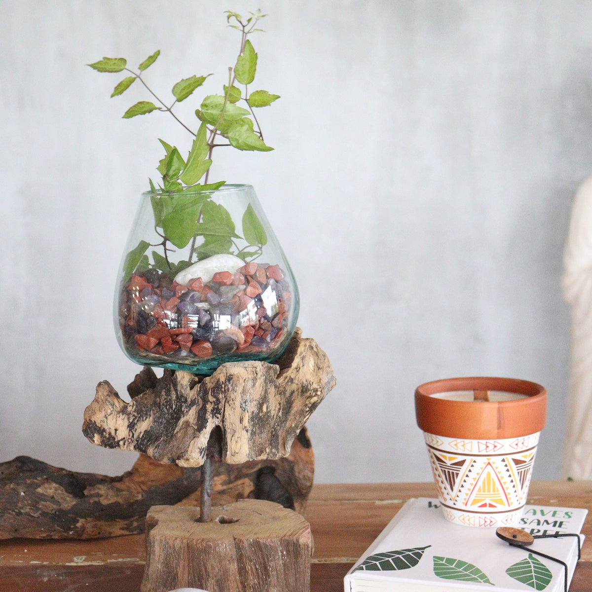 Recycled Glass Vase on Wood - Large Oval - Clear/Light Blue holding mixed stones and tall green stems on an elevated wood stand by Quintessential Holistic Health Ltd
