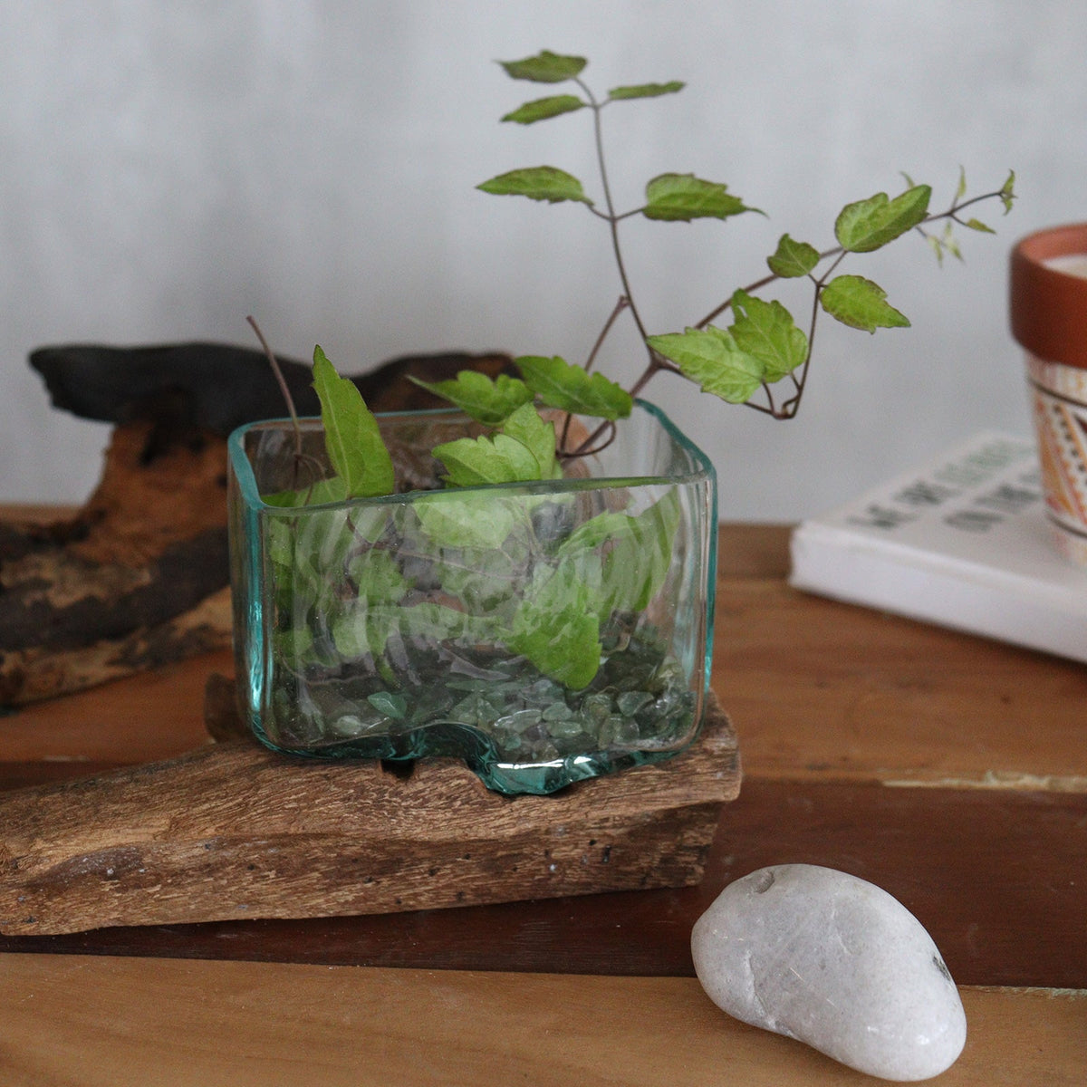 Recycled Glass Vase on Wood - Rectangular - Light Blue holding leafy green stems on a long layered wood base by Quintessential Holistic Health Ltd