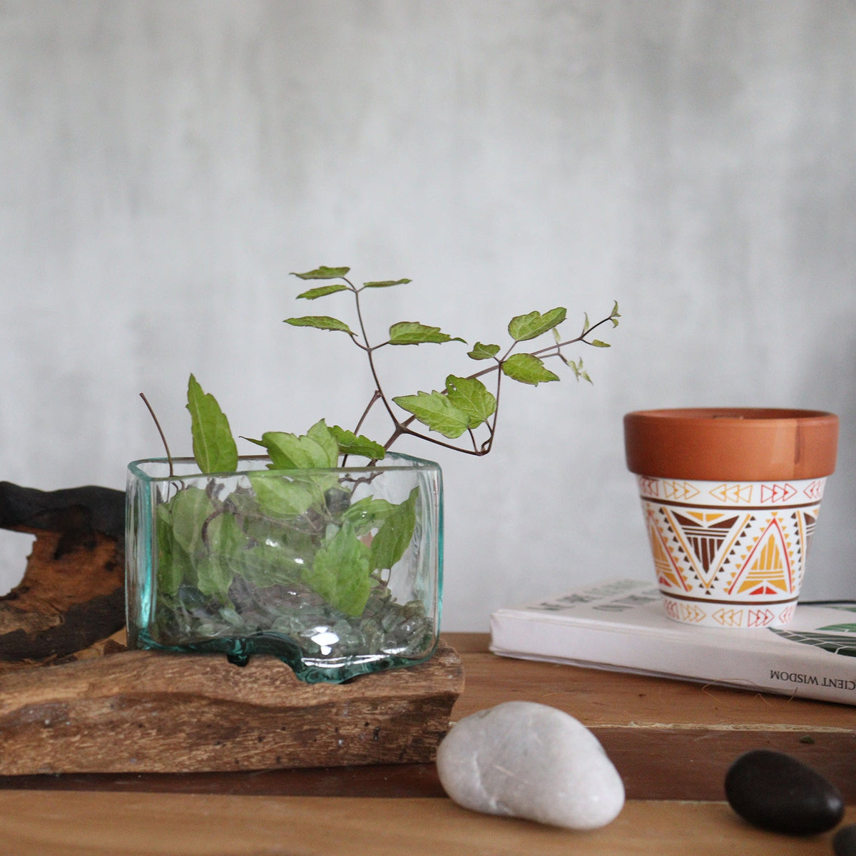 Recycled Glass Vase on Wood - Rectangular - Light Blue with branching leafy stems visible through its rippled lower glass by Quintessential Holistic Health Ltd