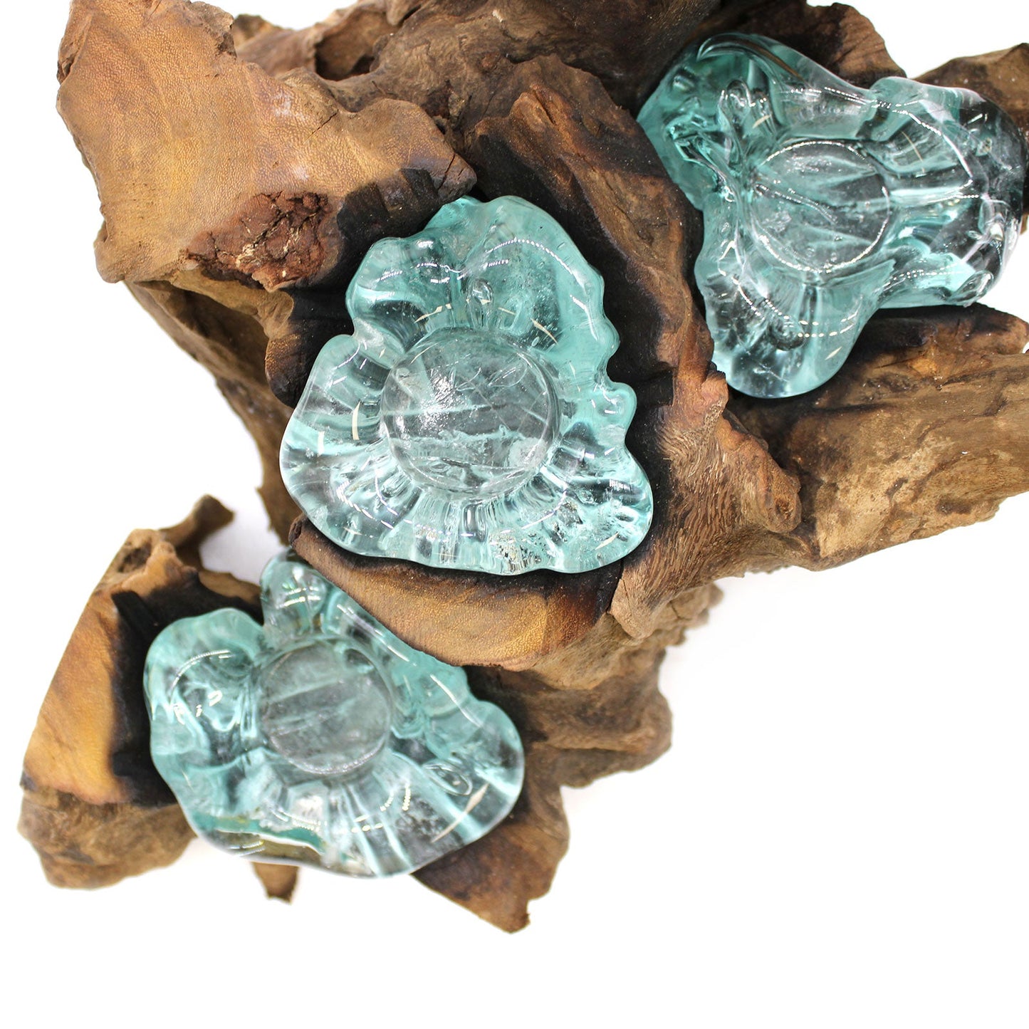 Recycled Glass/Wood Candle Holder - Five-Light - Clear/Light Blue with five translucent flower-shaped cups clustered among wood contours by Quintessential Holistic Health Ltd