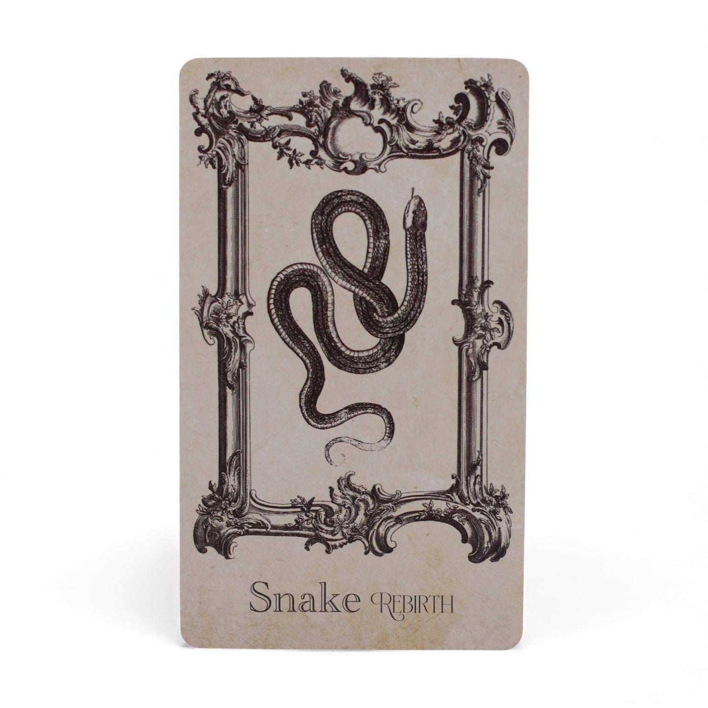 Oracle Cards - The Spellbook / Witchcraft product packaging on clean background from Quintessential Holistic Health Ltd