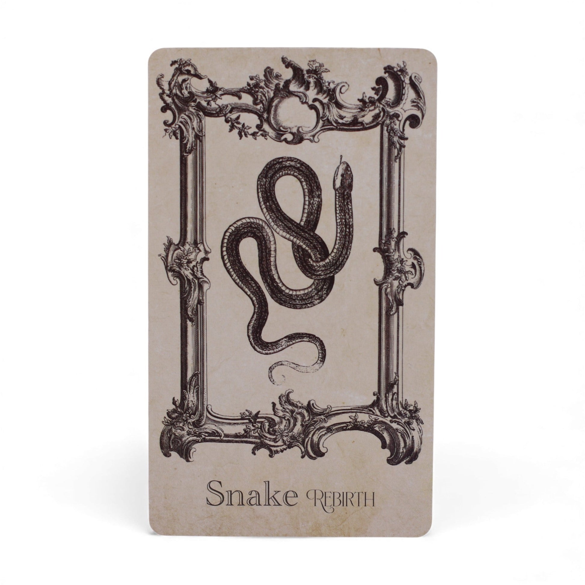 Oracle Cards - The Spellbook / Witchcraft product packaging on clean background from Quintessential Holistic Health Ltd