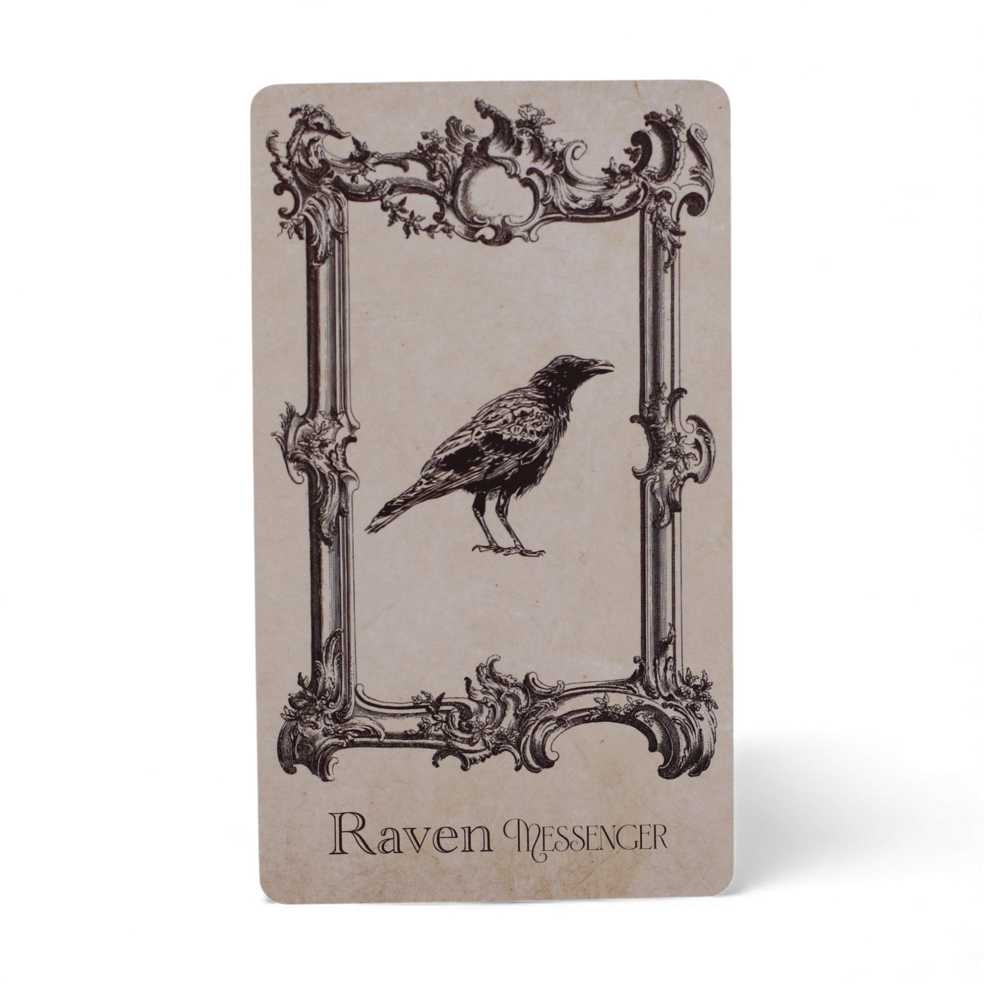 Oracle Cards - The Spellbook / Witchcraft product packaging on clean background from Quintessential Holistic Health Ltd