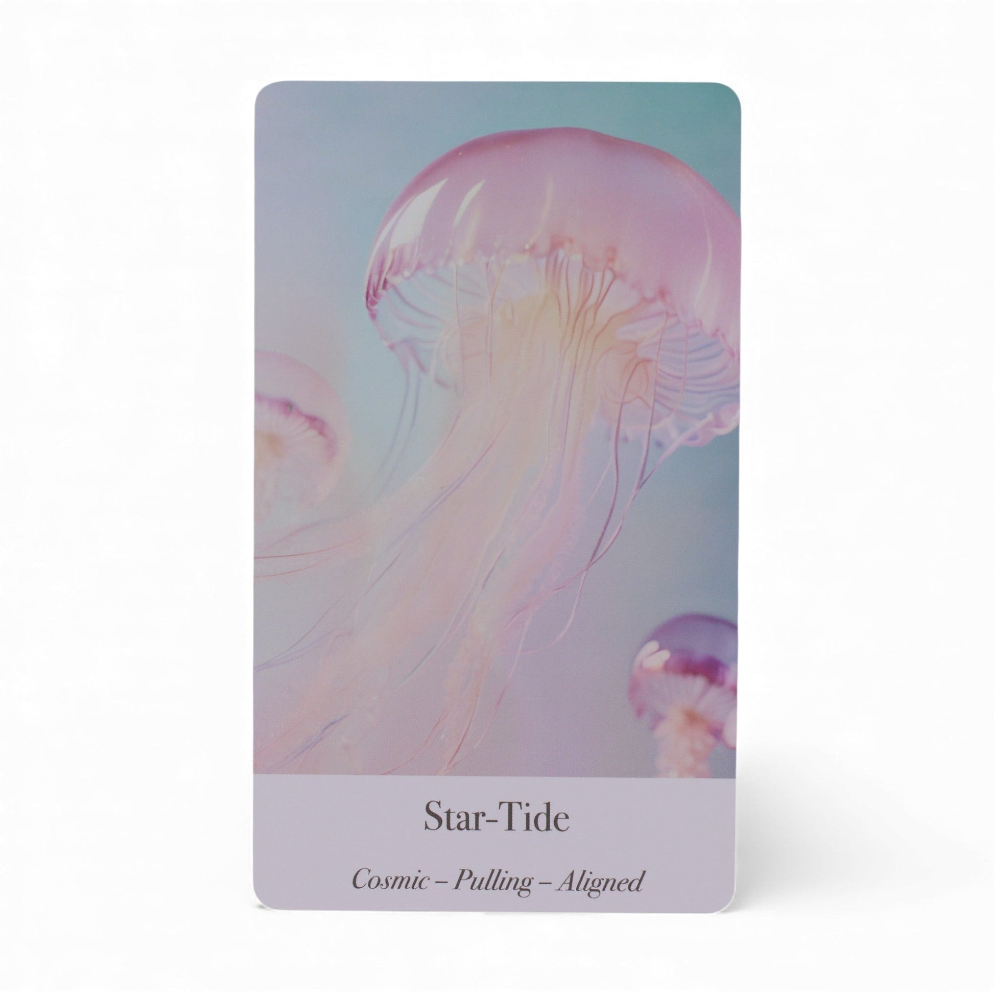 Oracle Cards - Ethereal Waters / Sirens and Moonlight product packaging on clean background from Quintessential Holistic Health Ltd