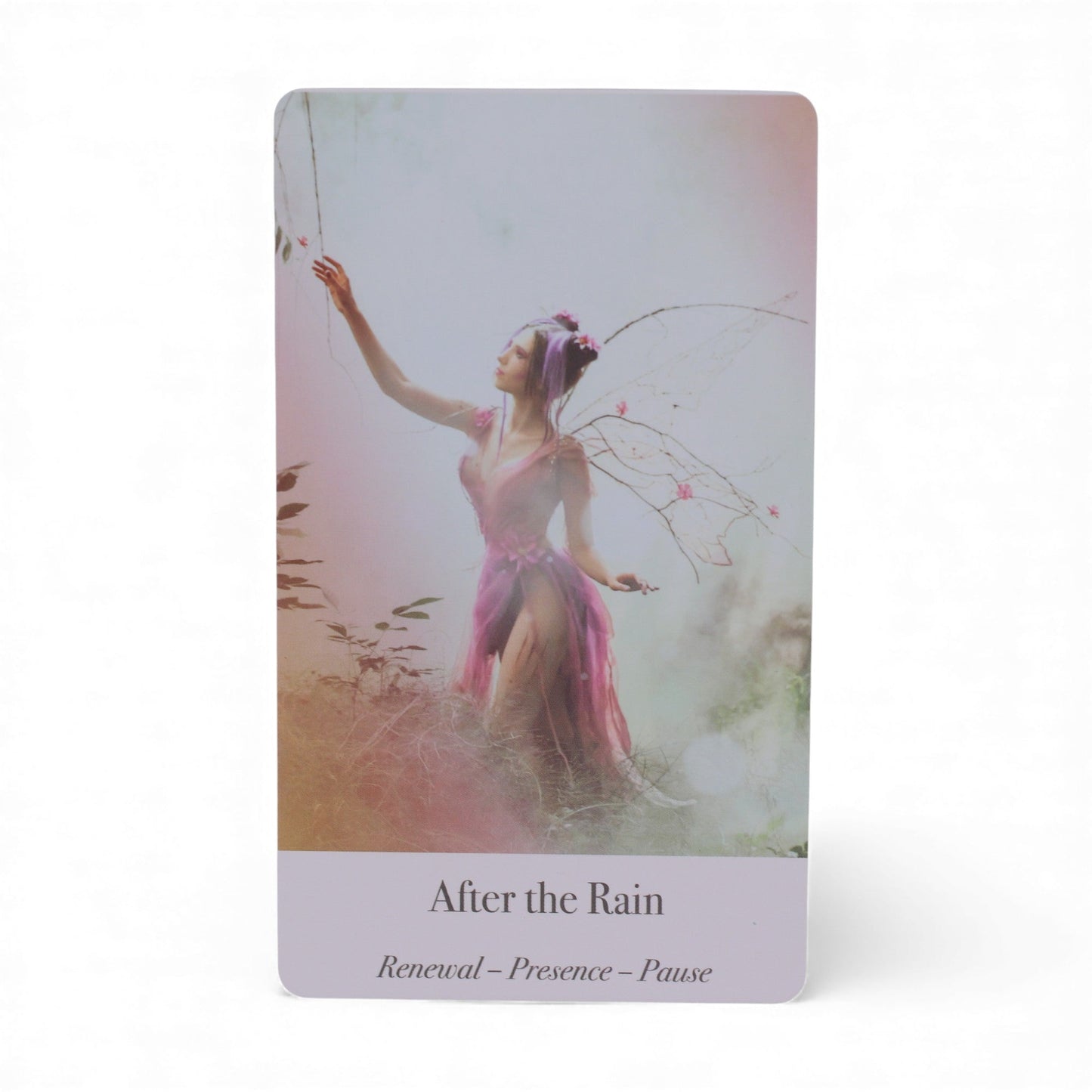 Oracle Cards - Ethereal Waters / Sirens and Moonlight product packaging on clean background from Quintessential Holistic Health Ltd