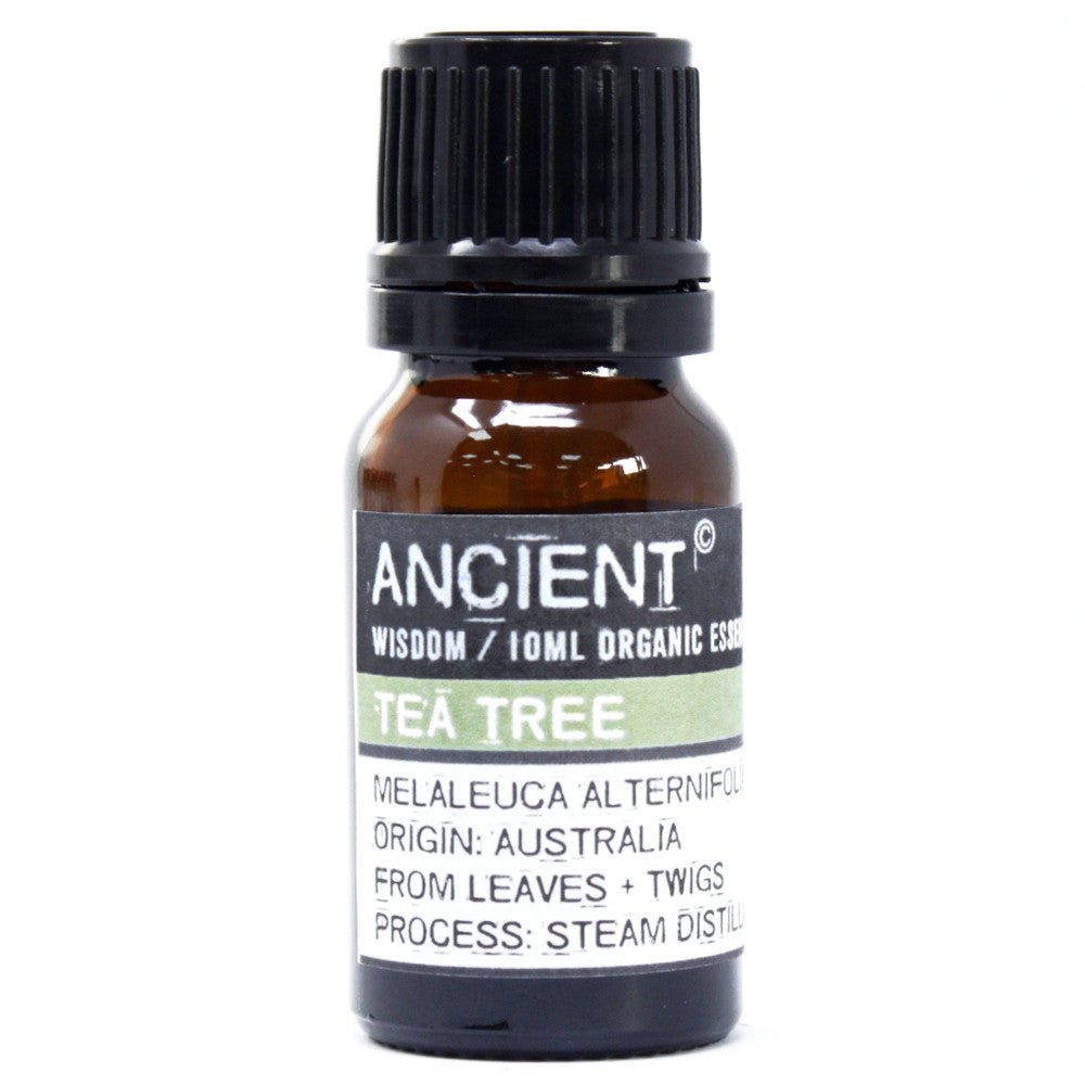 10ml Organic Essential Oil - Tea Tree product packaging on clean background from Quintessential Holistic Health Ltd