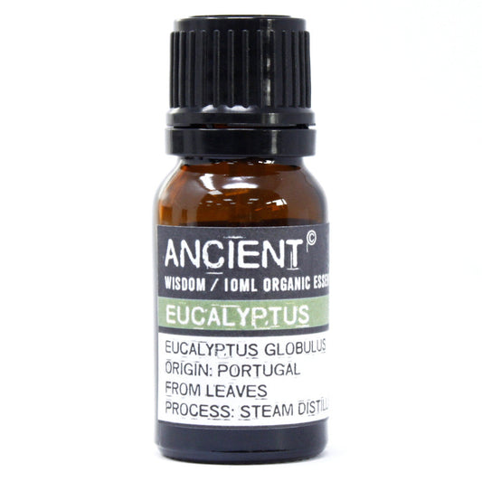 10ml Essential Oil - Eucalyptus product packaging on clean background from Quintessential Holistic Health Ltd