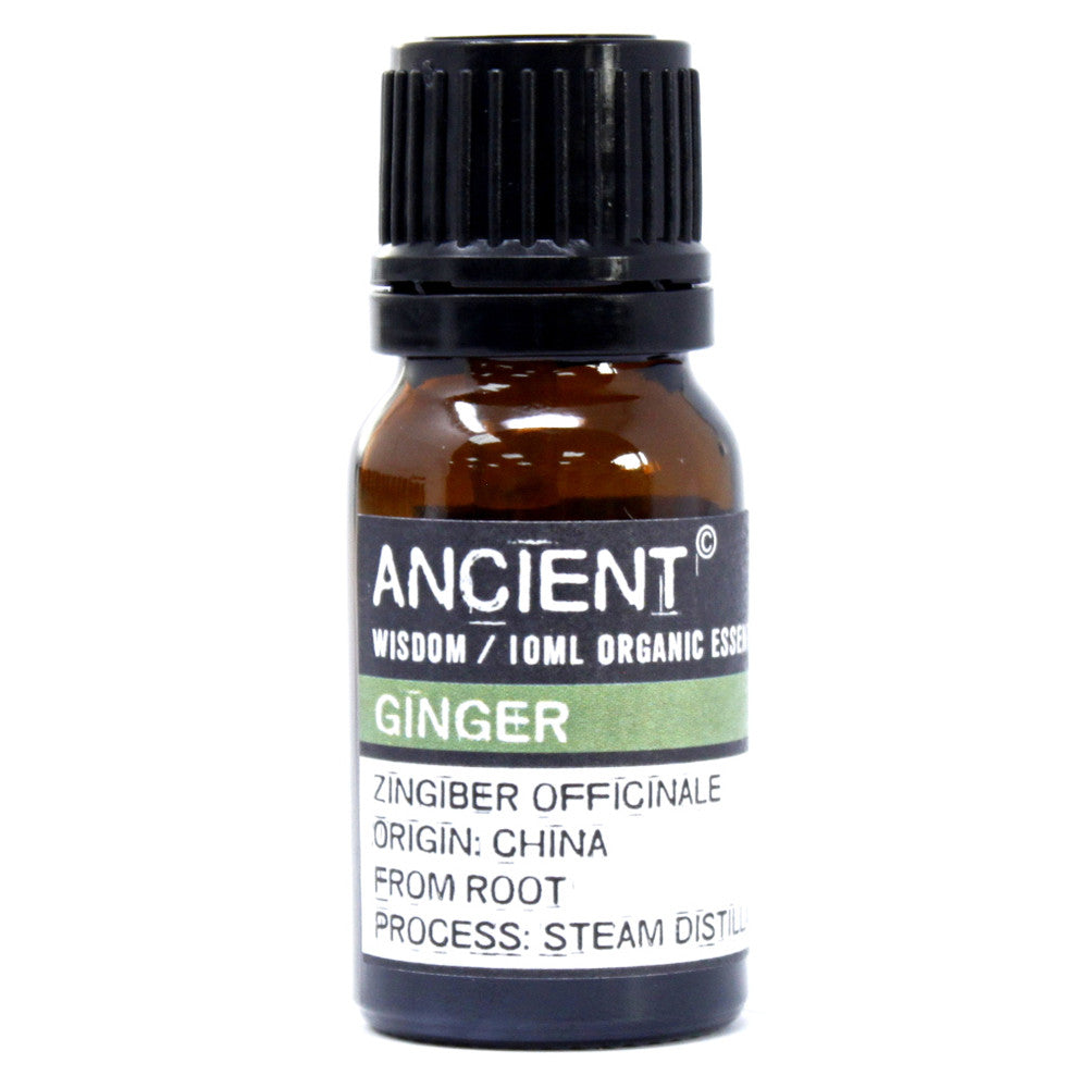 10ml Organic Essential Oil - Ginger product packaging on clean background from Quintessential Holistic Health Ltd