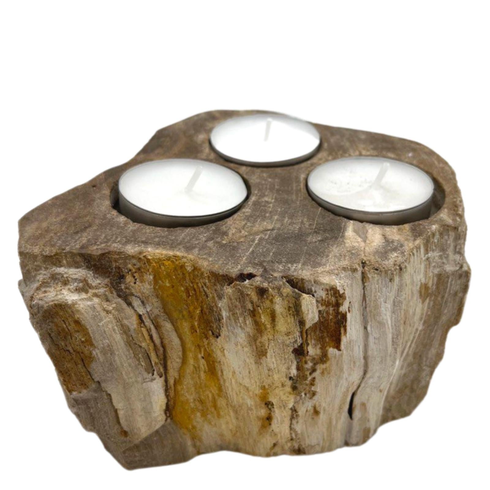 Hand Carved Petrified Wooden Tea Light Candle Holder - Triple product packaging on clean background from Quintessential Holistic Health Ltd