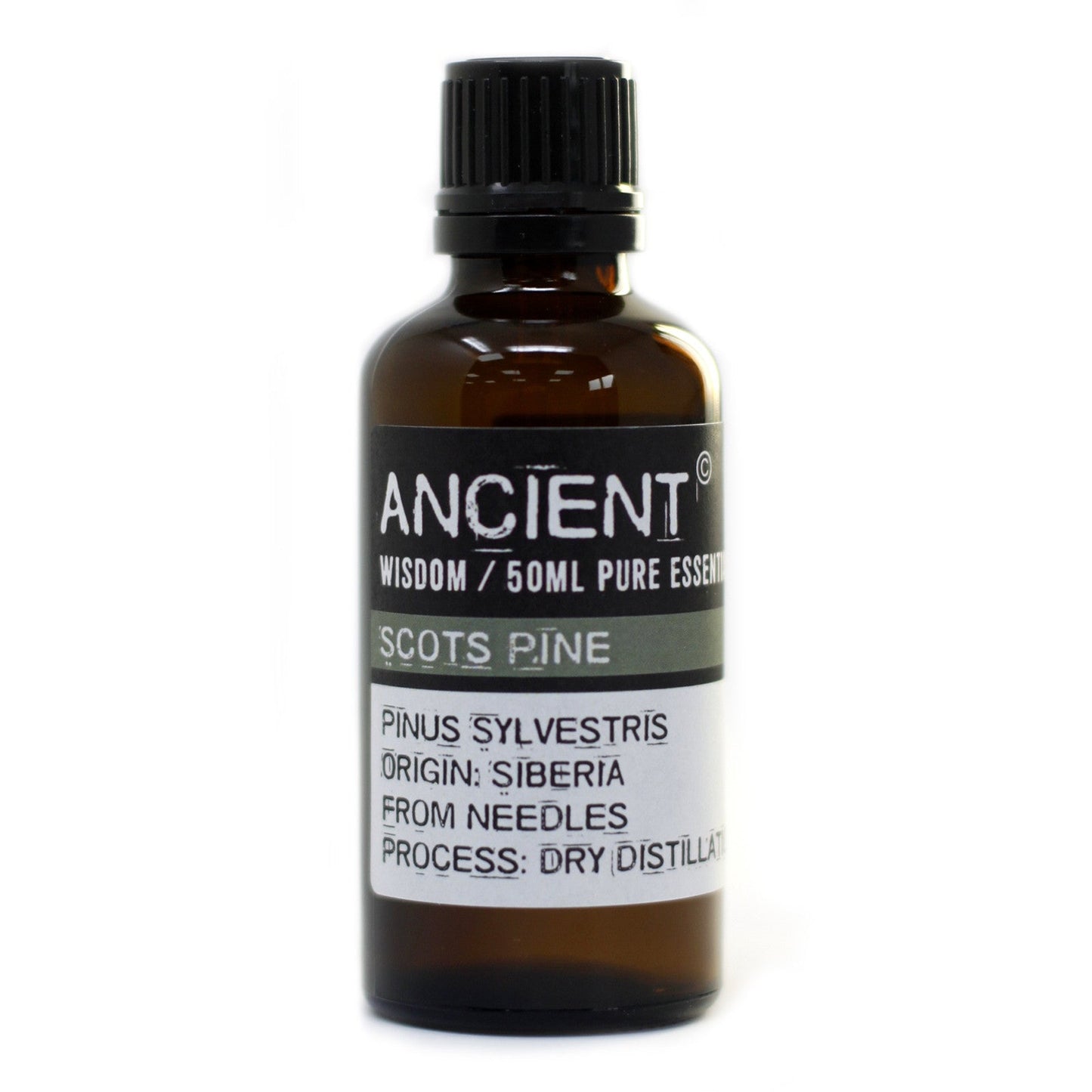 50ml Professional Essential Oil - Pine Sylvestris (Scots Pine) product packaging on clean background from Quintessential Holistic Health Ltd