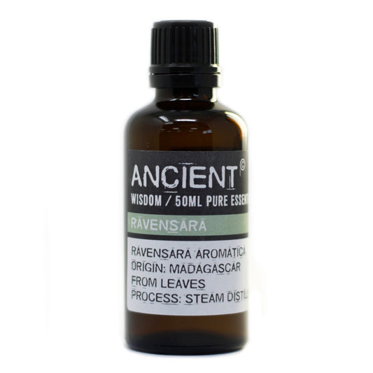 50ml Professional Pure Essential Oil - Ravensara product packaging on clean background from Quintessential Holistic Health Ltd