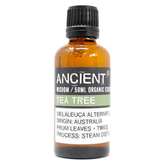 50ml Organic Essential Oil - Tea Tree product packaging on clean background from Quintessential Holistic Health Ltd