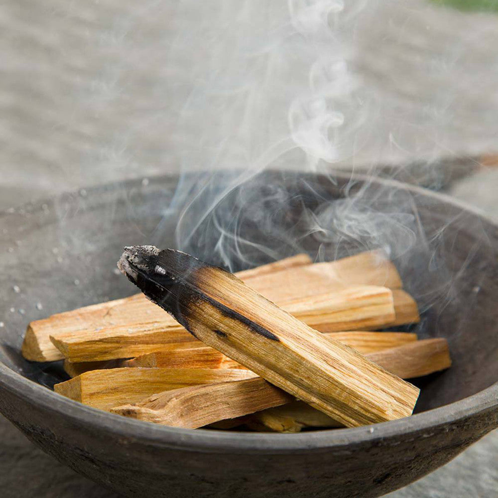 100g Green Tree Palo Santo (Holy Wood) Sticks / 10 - 15 Sticks product packaging on clean background from Quintessential Holistic Health Ltd