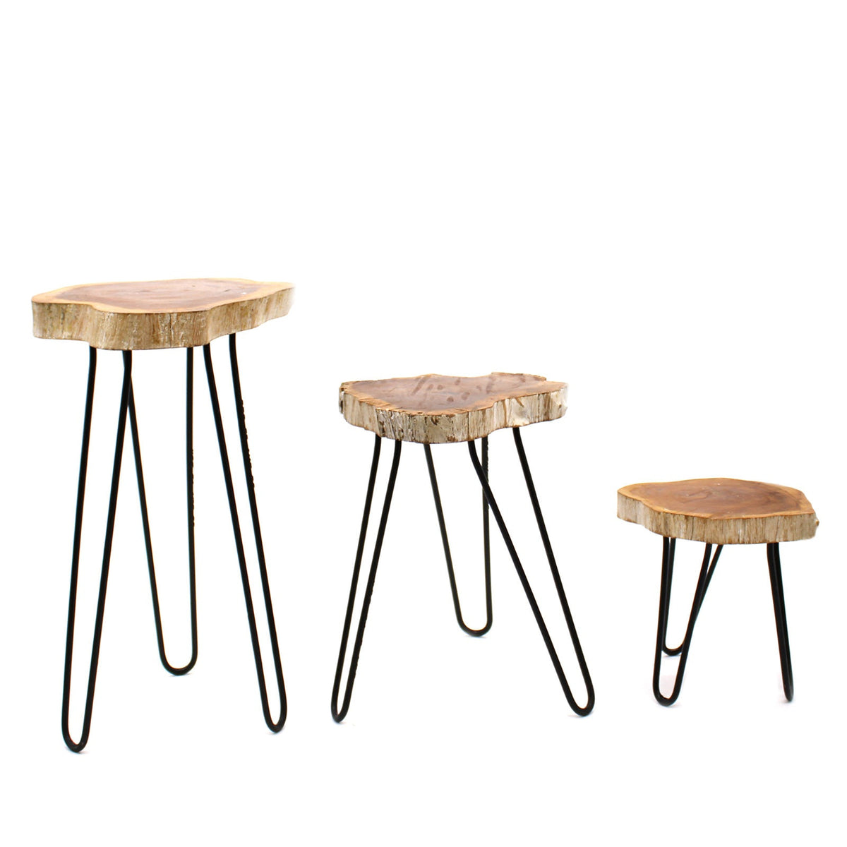 Set of 3 Eco-Friendly Gamal Wooden Plant Stands - Whitewash, three pale round stands of graduated heights on slim black legs by Quintessential Holistic Health Ltd