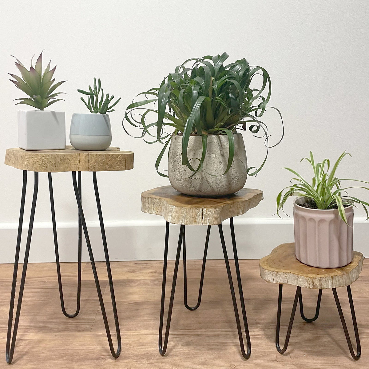 Set of 3 Eco-Friendly Gamal Wooden Plant Stands - Whitewash, three round stands at different heights displaying assorted potted plants by Quintessential Holistic Health Ltd