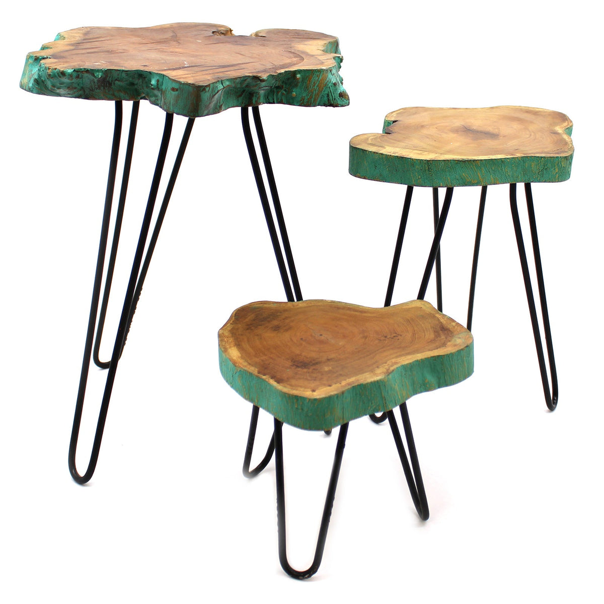 Set of 3 Gamal Wood Plant Stands - Greenwash, clustered with natural-edged tops and black hairpin legs by Quintessential Holistic Health Ltd