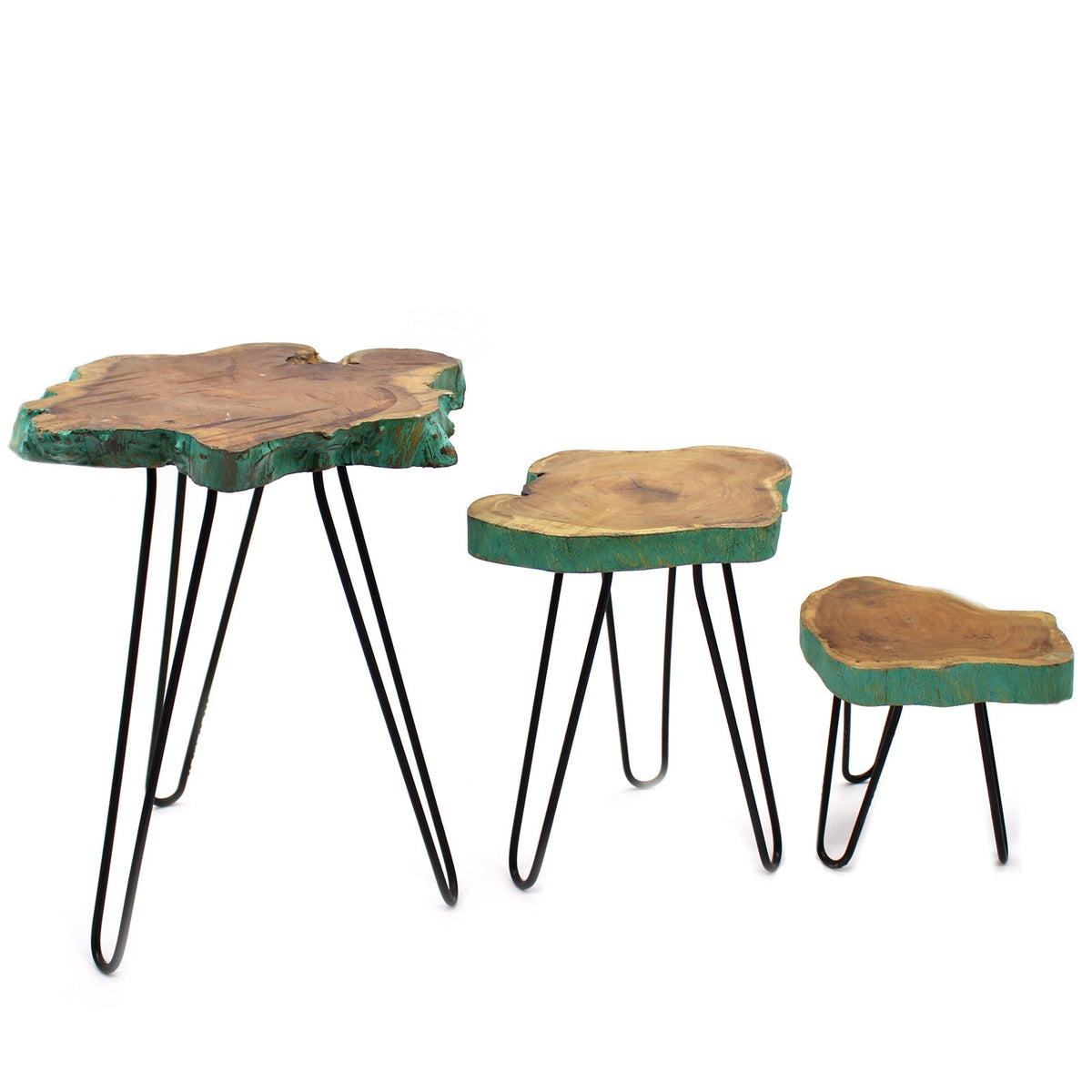 Set of 3 Gamal Wood Plant Stands - Greenwash, arranged in graduated sizes with irregular tops and black legs by Quintessential Holistic Health Ltd