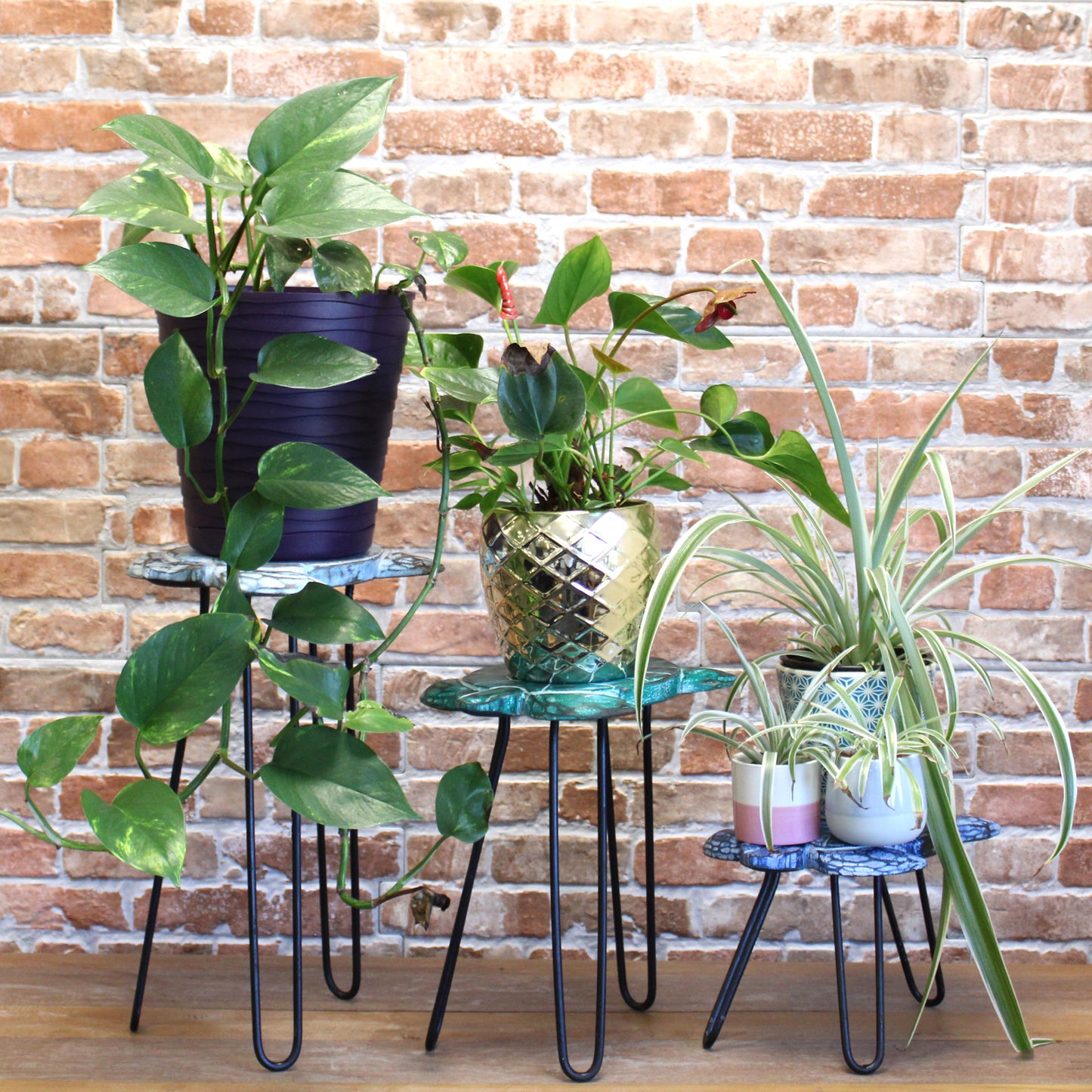 Set of 3 Eco-Friendly Gamal or Albasia Wooden Plant Stands