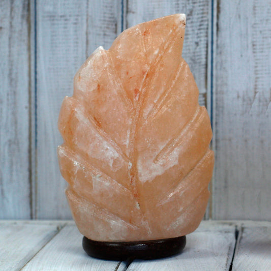 Unique Himalayan Crystal Salt Gifts / Various Designs, Colours and Sizes