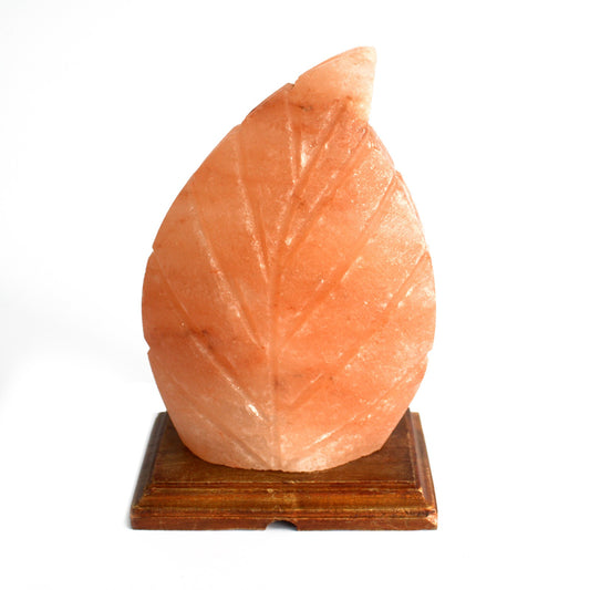 Hand Carved 240v Himalayan Salt Crystal Lamp with Base - Natural / Leaf / 2Kg - 2.5Kg product packaging on clean background from Quintessential Holistic Health Ltd