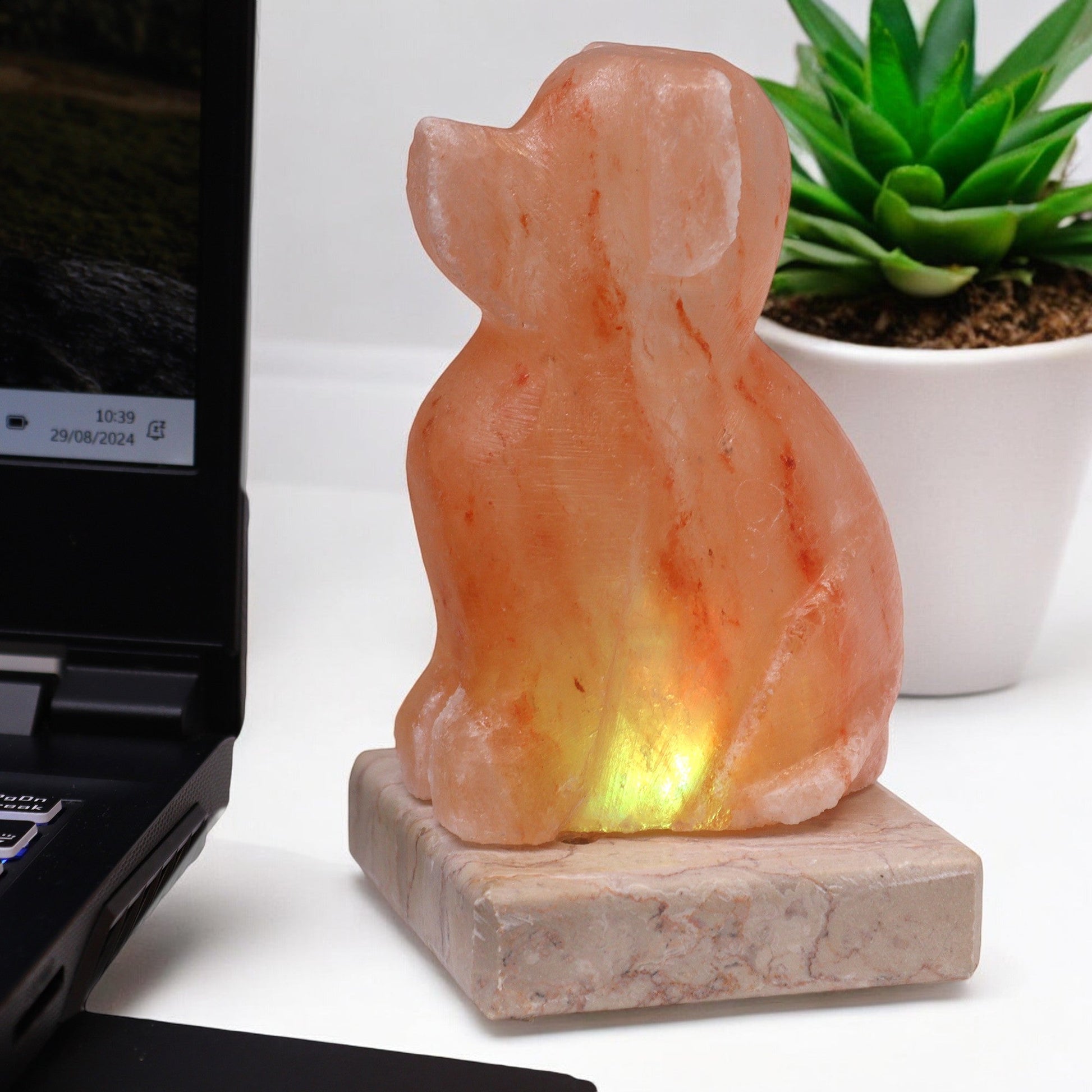 Hand Carved USB Himalayan Salt Crystal Lamp with Base - Natural / Dog product packaging on clean background from Quintessential Holistic Health Ltd