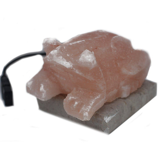 Hand Carved USB Himalayan Salt Crystal Lamp with Base - Natural / Toad / Multicoloured Light product packaging on clean background from Quintessential Holistic Health Ltd