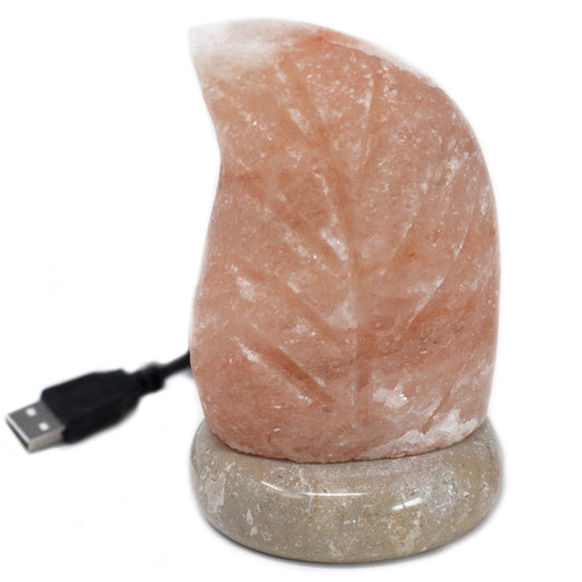 Hand Carved USB Himalayan Salt Crystal Lamp with Base - Natural / Leaf / Multicoloured Light product packaging on clean background from Quintessential Holistic Health Ltd