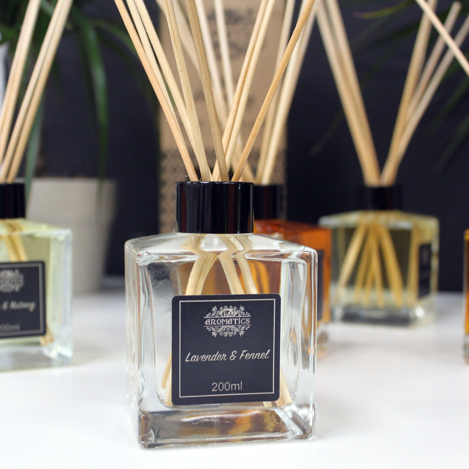 Reed Diffuser - Lavender and Fennel - 200ml, close view of a clear square bottle with black label and fanned reeds among other bottles by Quintessential Holistic Health Ltd