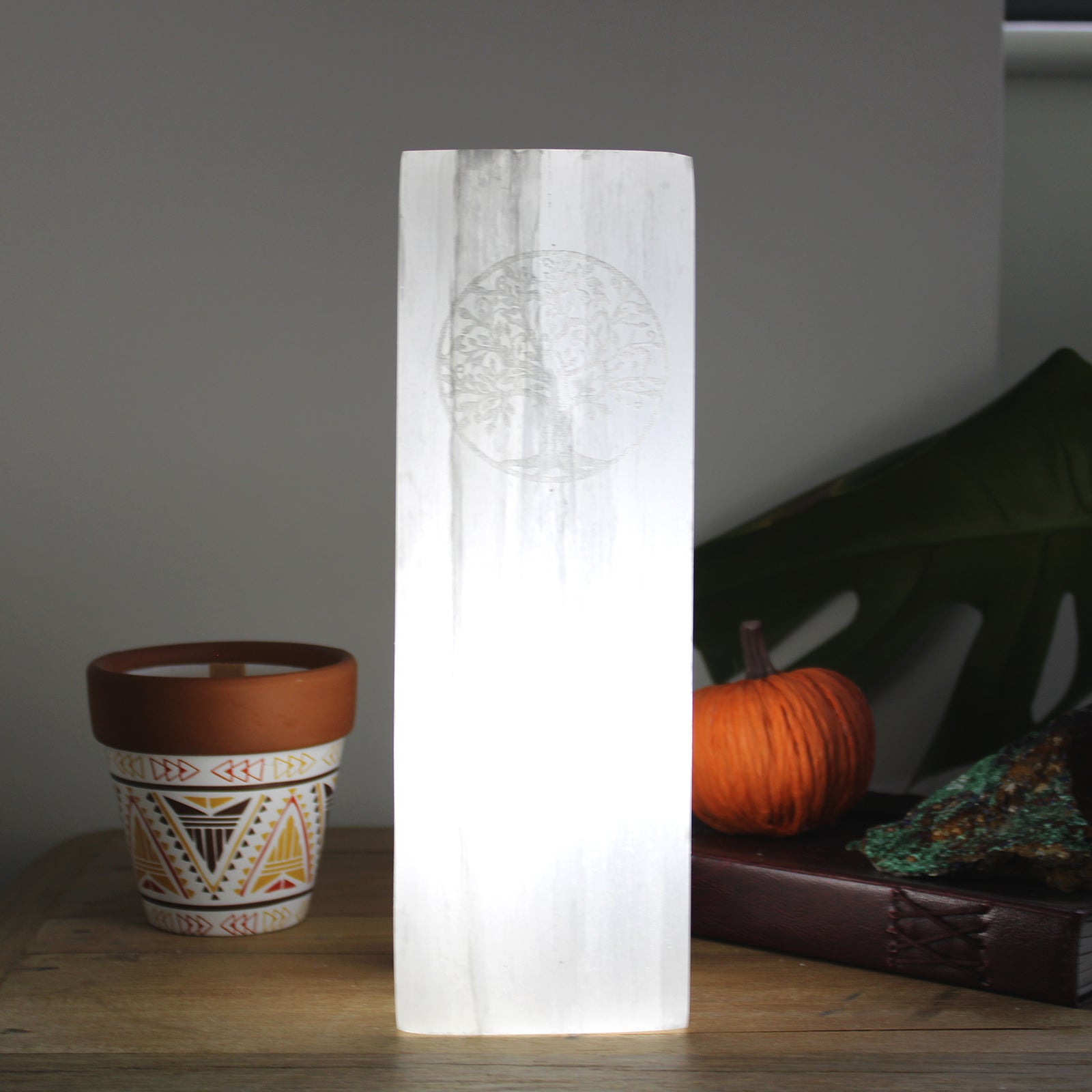 Handmade Selenite Block Lamp - Tree of Life product packaging on clean background from Quintessential Holistic Health Ltd