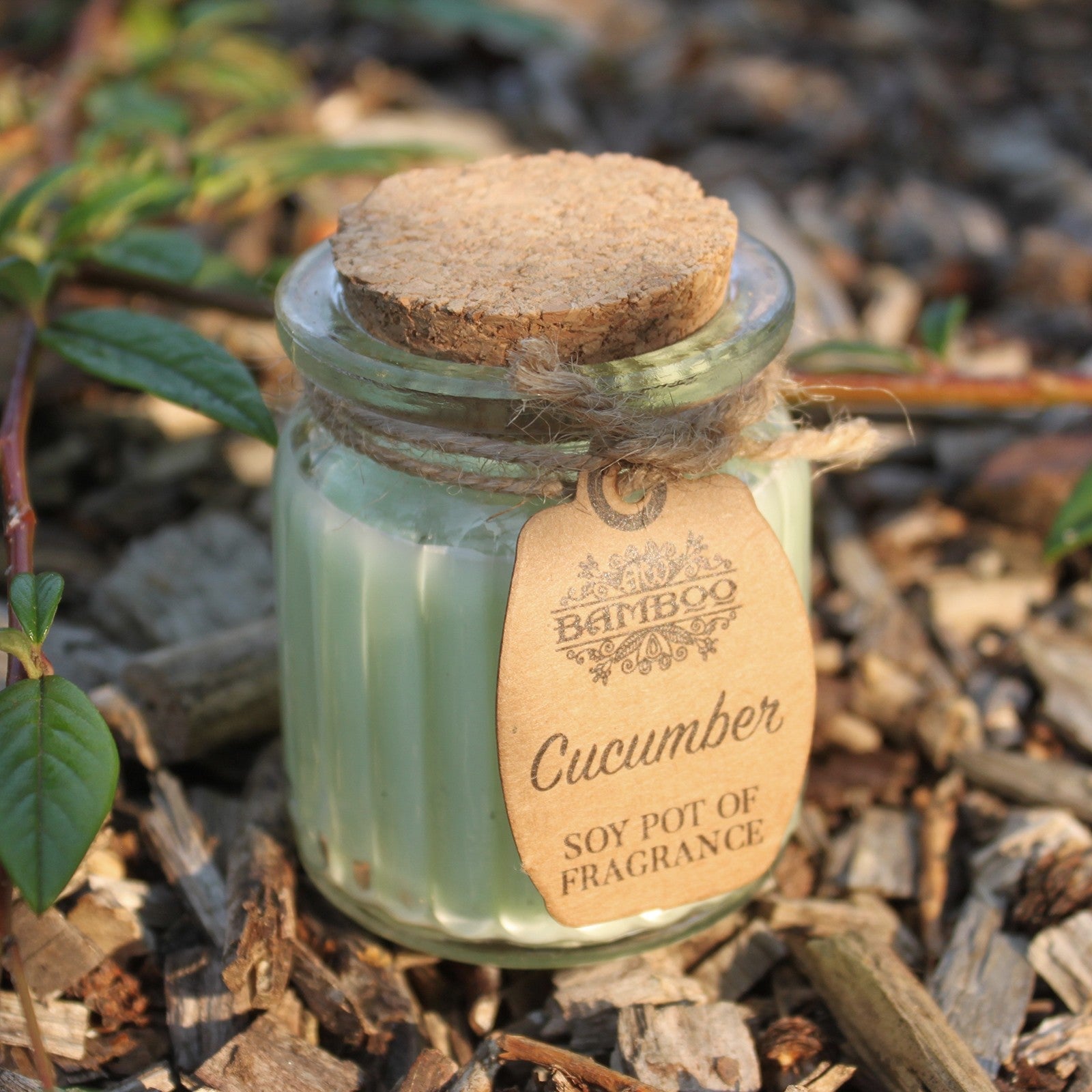 Eco- Friendly Fragranced Soy Candle in a Glass Pot - Cucumber product packaging on clean background from Quintessential Holistic Health Ltd