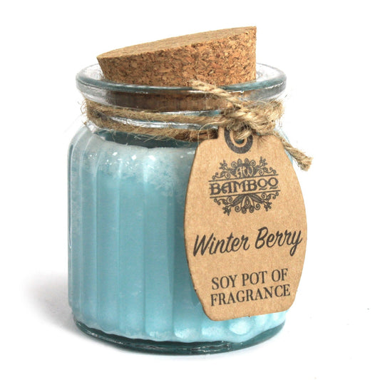 Eco- Friendly Fragranced Soy Candle in a Glass Pot - Winter Berries product packaging on clean background from Quintessential Holistic Health Ltd