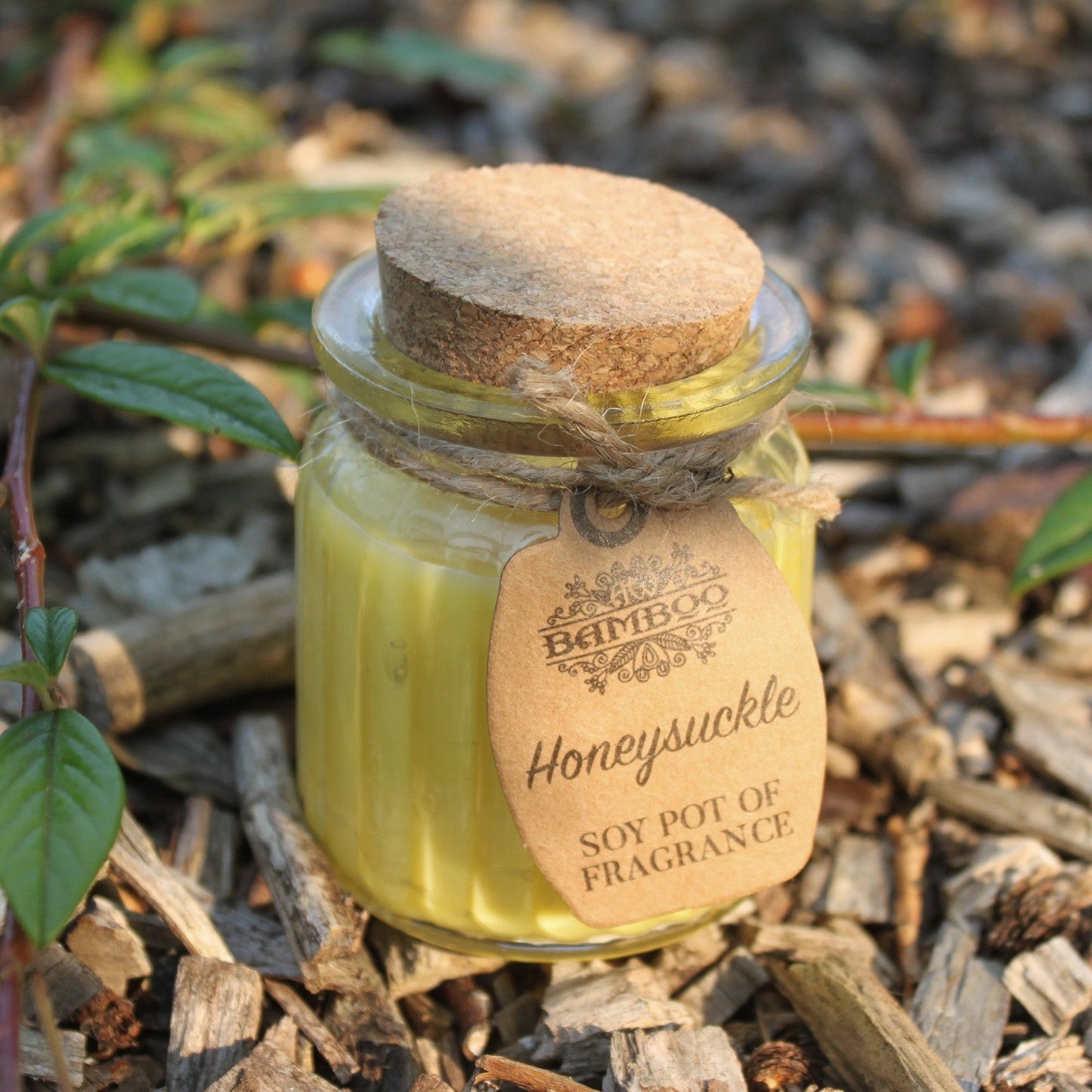 Eco- Friendly Fragranced Soy Candle in a Glass Pot - Honeysuckle product packaging on clean background from Quintessential Holistic Health Ltd