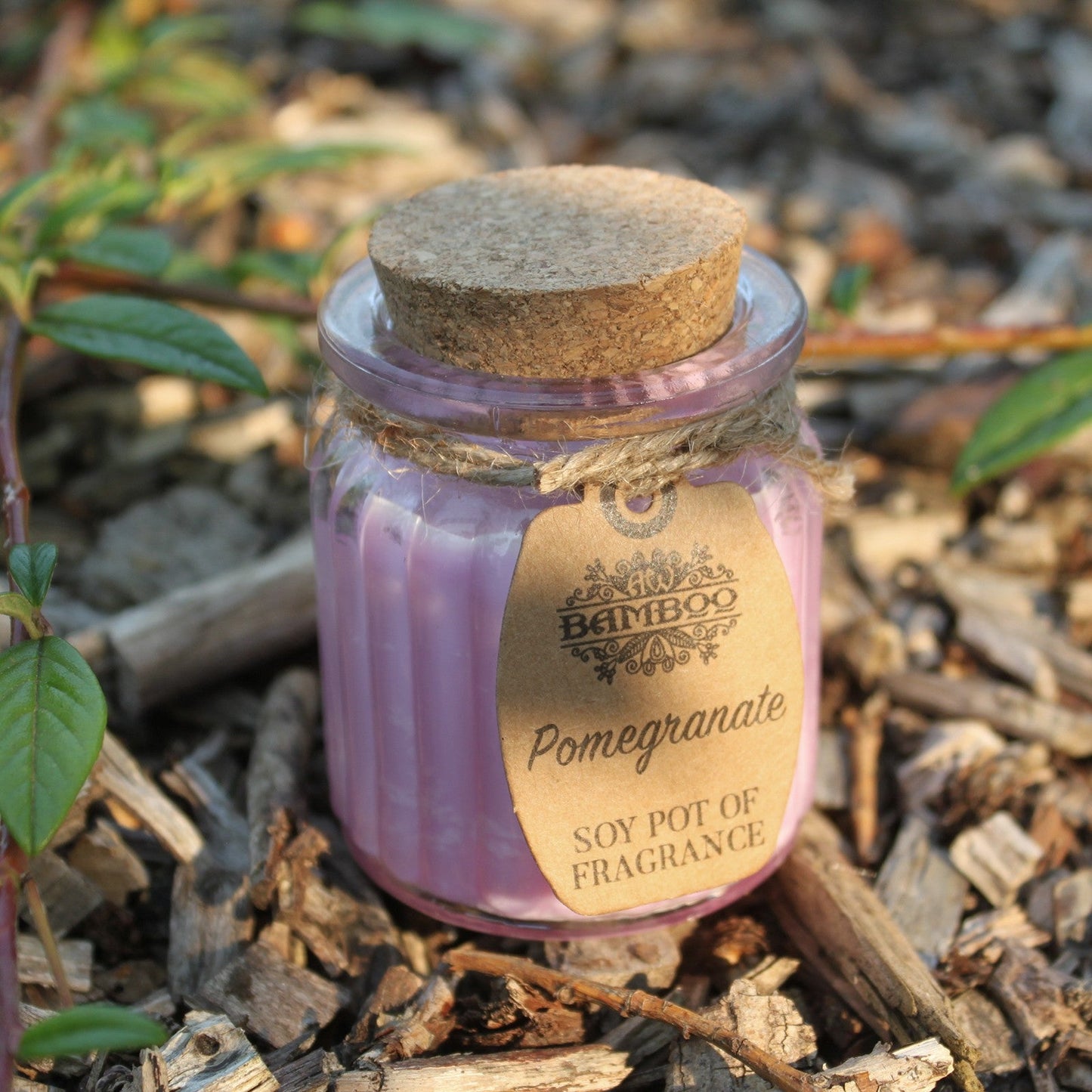 Eco- Friendly Fragranced Soy Candle in a Glass Pot - Pomegranate product packaging on clean background from Quintessential Holistic Health Ltd