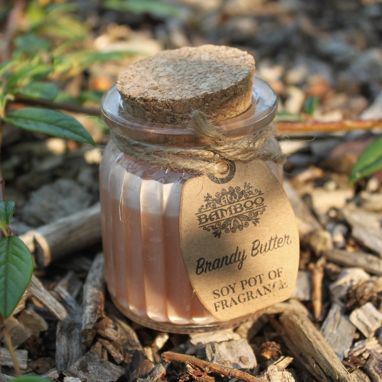 Eco- Friendly Fragranced Soy Candle in a Glass Pot - Brandy Butter product packaging on clean background from Quintessential Holistic Health Ltd