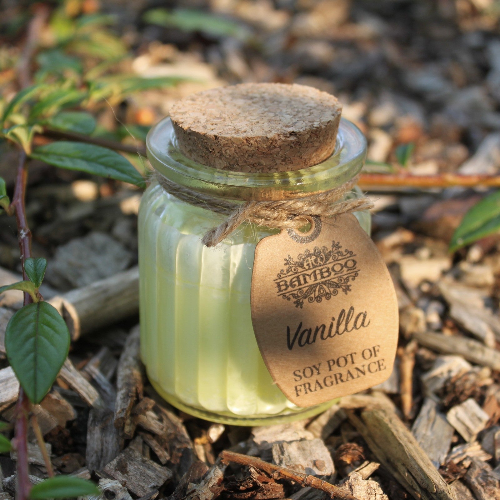 Eco- Friendly Fragranced Soy Candle in a Glass Pot - Vanilla product packaging on clean background from Quintessential Holistic Health Ltd