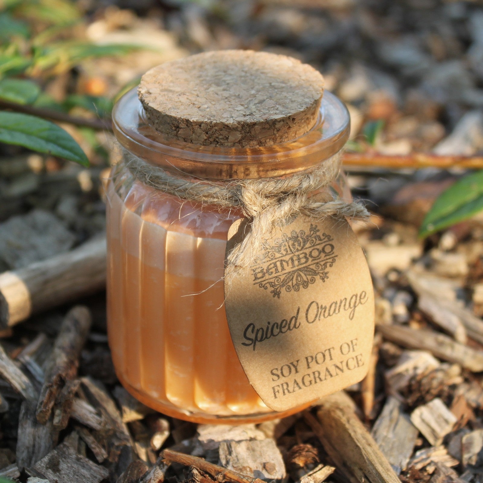Eco- Friendly Fragranced Soy Candle in a Glass Pot - Spiced Orange product packaging on clean background from Quintessential Holistic Health Ltd