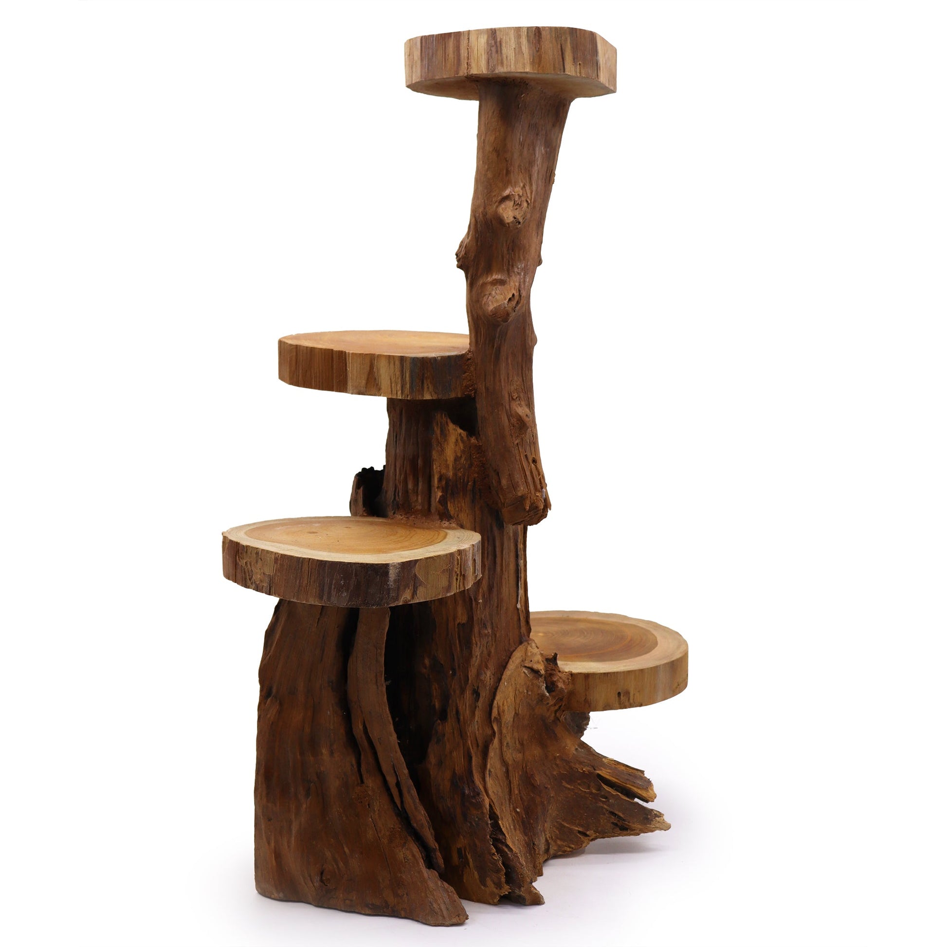Eco-Friendly Teak 4-Tier Plant and Display Stand - Natural with four staggered round platforms and an irregular trunk base by Quintessential Holistic Health Ltd